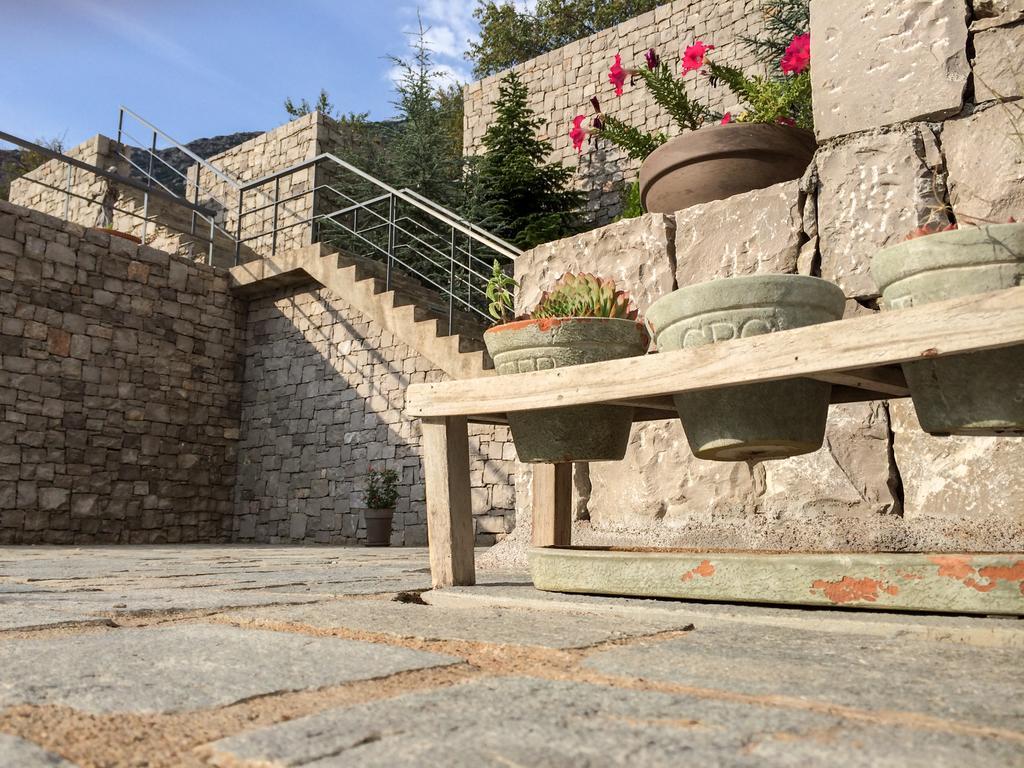 Elafivolia Arachova Suites Экстерьер фото